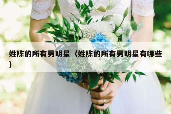 姓陈的所有男明星（姓陈的所有男明星有哪些） 第1张