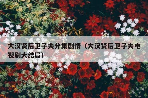 大汉贤后卫子夫分集剧情（大汉贤后卫子夫电视剧大结局） 第1张
