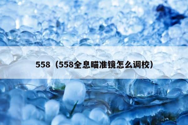 558（558全息瞄准镜怎么调校） 第1张