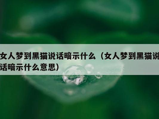 女人梦到黑猫说话暗示什么（女人梦到黑猫说话暗示什么意思） 第1张