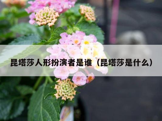 昆塔莎人形扮演者是谁（昆塔莎是什么） 第1张