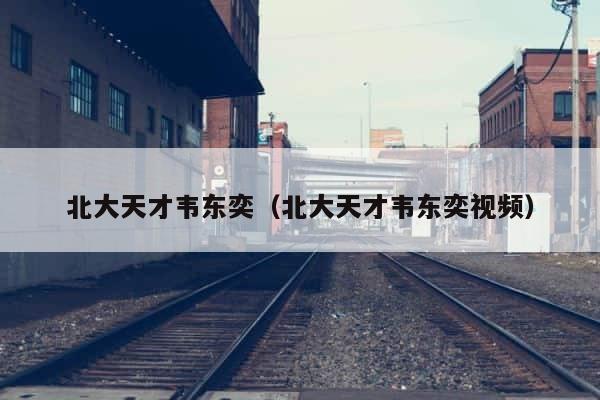 北大天才韦东奕（北大天才韦东奕视频） 第1张