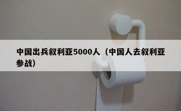 中国出兵叙利亚5000人（中国人去叙利亚参战） 第1张