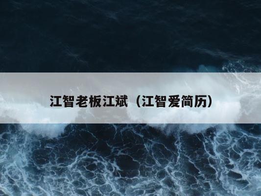 江智老板江斌（江智爱简历） 第1张