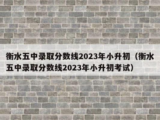 衡水五中录取分数线2023年小升初（衡水五中录取分数线2023年小升初考试） 第1张