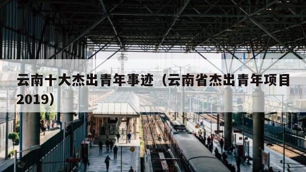 云南十大杰出青年事迹（云南省杰出青年项目2019） 第1张