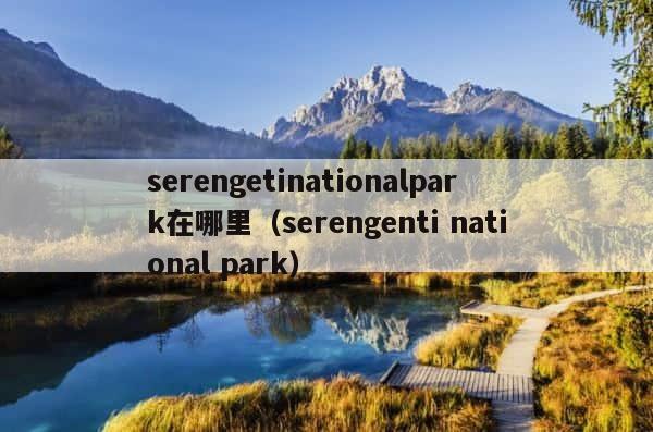 serengetinationalpark在哪里（serengenti national park） 第1张