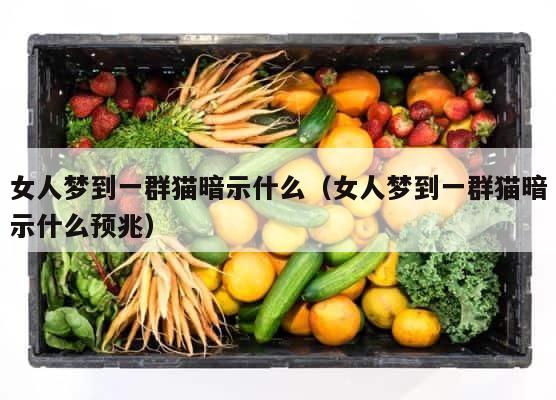 女人梦到一群猫暗示什么（女人梦到一群猫暗示什么预兆） 第1张