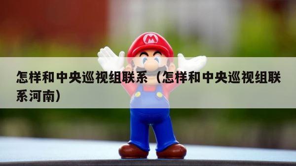 怎样和中央巡视组联系（怎样和中央巡视组联系河南） 第1张