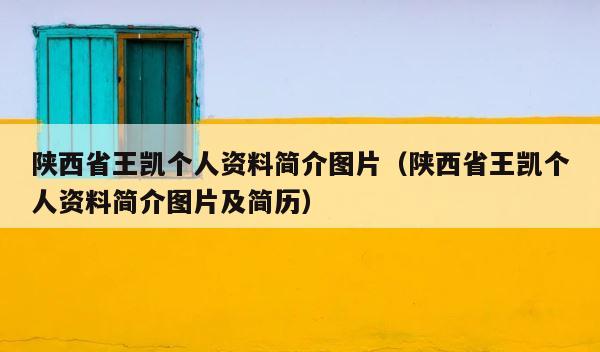 陕西省王凯个人资料简介图片（陕西省王凯个人资料简介图片及简历） 第1张