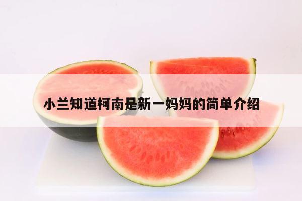 小兰知道柯南是新一妈妈的简单介绍 第1张