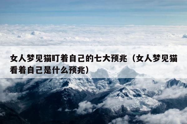 女人梦见猫盯着自己的七大预兆（女人梦见猫看着自己是什么预兆） 第1张