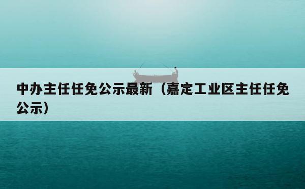 中办主任任免公示最新（嘉定工业区主任任免公示） 第1张