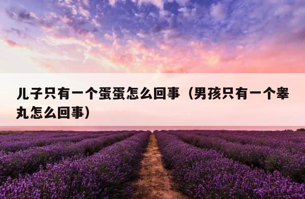 儿子只有一个蛋蛋怎么回事（男孩只有一个睾丸怎么回事） 第1张
