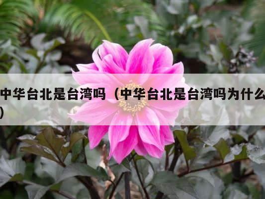 中华台北是台湾吗（中华台北是台湾吗为什么） 第1张
