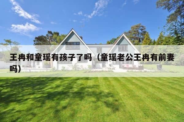 王冉和童瑶有孩子了吗（童瑶老公王冉有前妻吗） 第1张