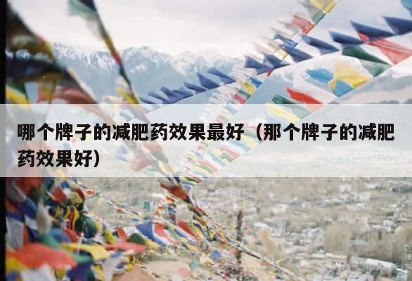 哪个牌子的减肥药效果最好（那个牌子的减肥药效果好） 第1张