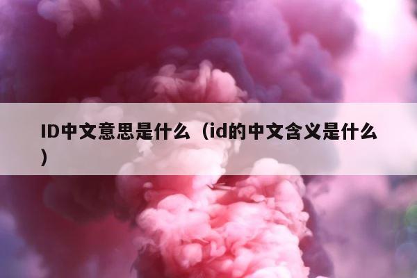 ID中文意思是什么（id的中文含义是什么） 第1张