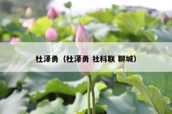 杜泽勇（杜泽勇 社科联 聊城） 第1张