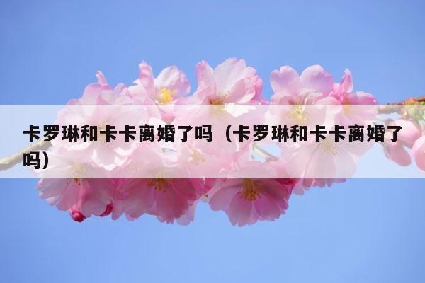 卡罗琳和卡卡离婚了吗（卡罗琳和卡卡离婚了吗） 第1张