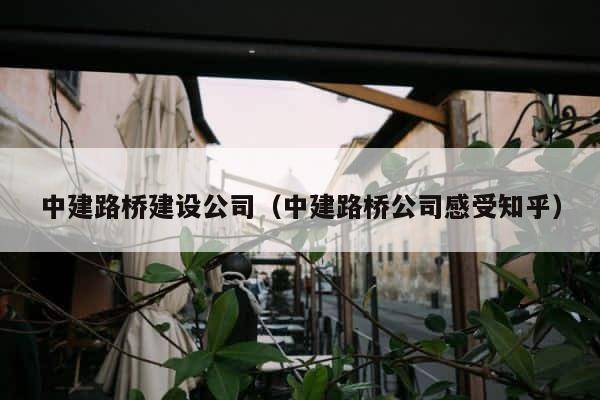 中建路桥建设公司（中建路桥公司感受知乎） 第1张