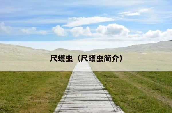 尺蠖虫（尺蠖虫简介） 第1张