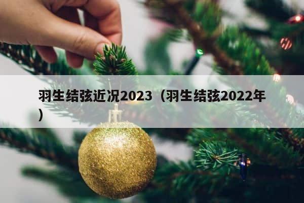 羽生结弦近况2023（羽生结弦2022年） 第1张