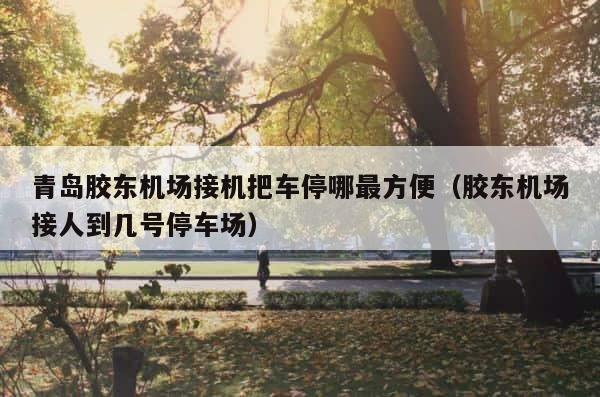 青岛胶东机场接机把车停哪最方便（胶东机场接人到几号停车场） 第1张