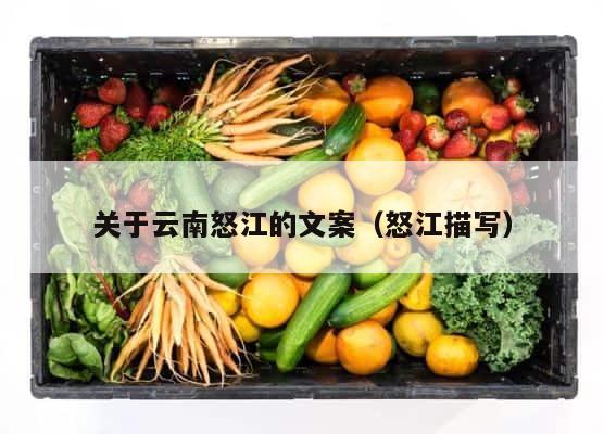 关于云南怒江的文案（怒江描写） 第1张
