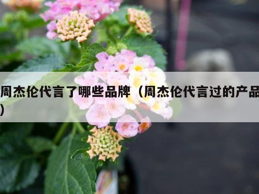周杰伦代言了哪些品牌（周杰伦代言过的产品） 第1张