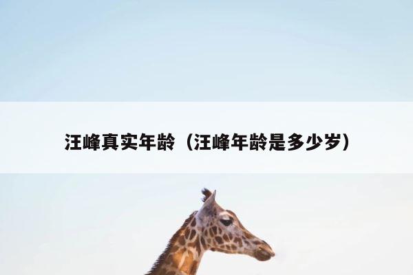 汪峰真实年龄（汪峰年龄是多少岁） 第1张