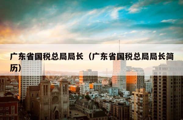广东省国税总局局长（广东省国税总局局长简历） 第1张