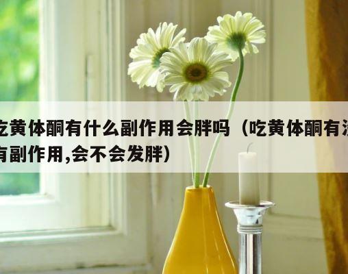 吃黄体酮有什么副作用会胖吗（吃黄体酮有没有副作用,会不会发胖） 第1张