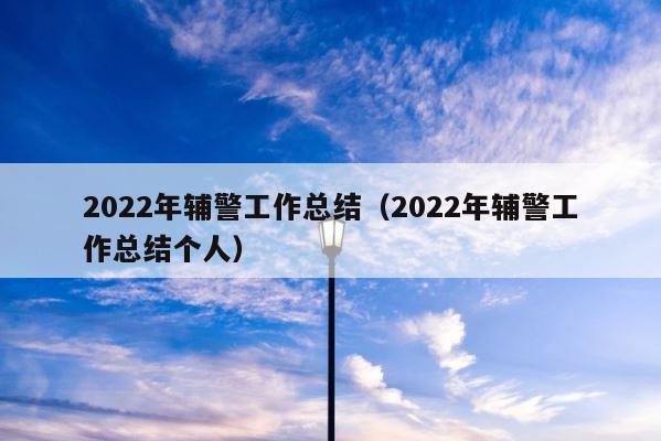 2022年辅警工作总结（2022年辅警工作总结个人） 第1张