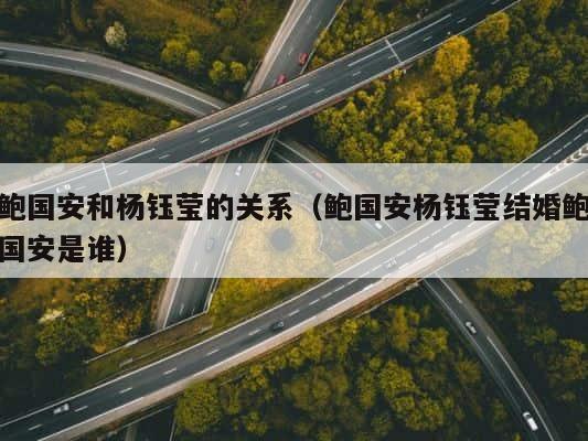 鲍国安和杨钰莹的关系（鲍国安杨钰莹结婚鲍国安是谁） 第1张