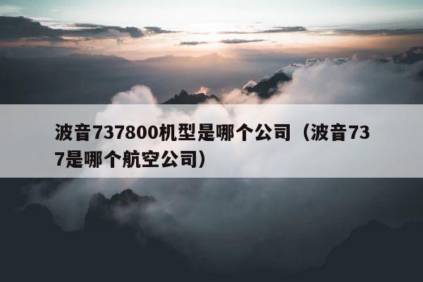 波音737800机型是哪个公司（波音737是哪个航空公司） 第1张