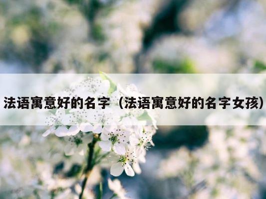 法语寓意好的名字（法语寓意好的名字女孩） 第1张