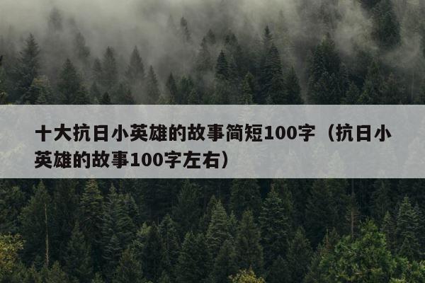 十大抗日小英雄的故事简短100字（抗日小英雄的故事100字左右） 第1张