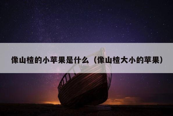 像山楂的小苹果是什么（像山楂大小的苹果） 第1张