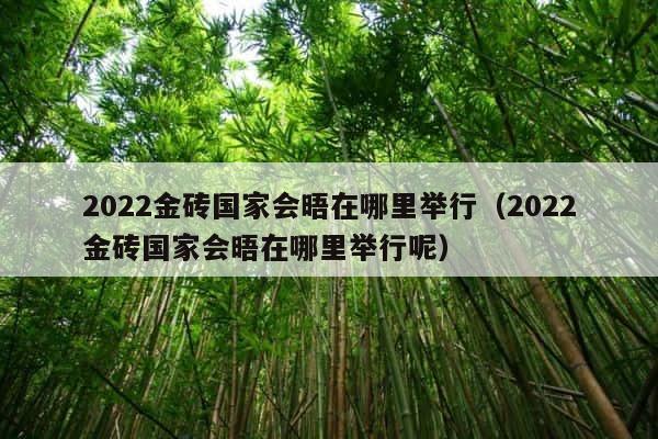 2022金砖国家会晤在哪里举行（2022金砖国家会晤在哪里举行呢） 第1张