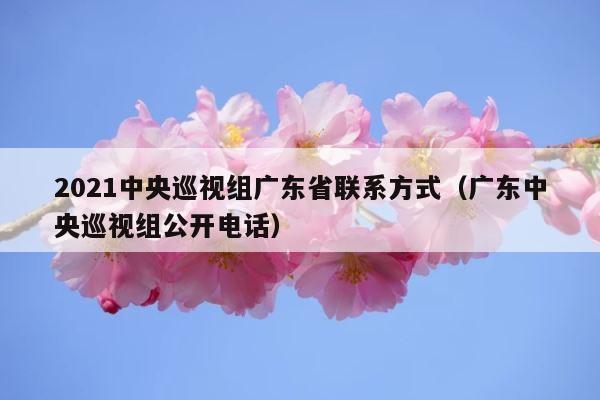 2021中央巡视组广东省联系方式（广东中央巡视组公开电话） 第1张