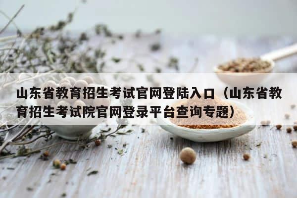 山东省教育招生考试官网登陆入口（山东省教育招生考试院官网登录平台查询专题） 第1张