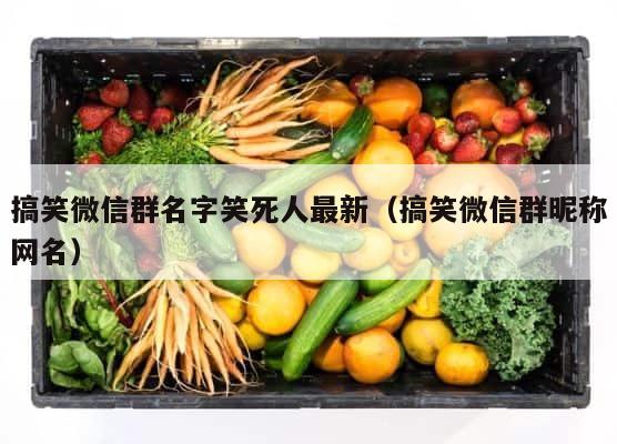搞笑微信群名字笑死人最新（搞笑微信群昵称网名） 第1张