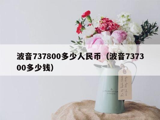 波音737800多少人民币（波音737300多少钱） 第1张