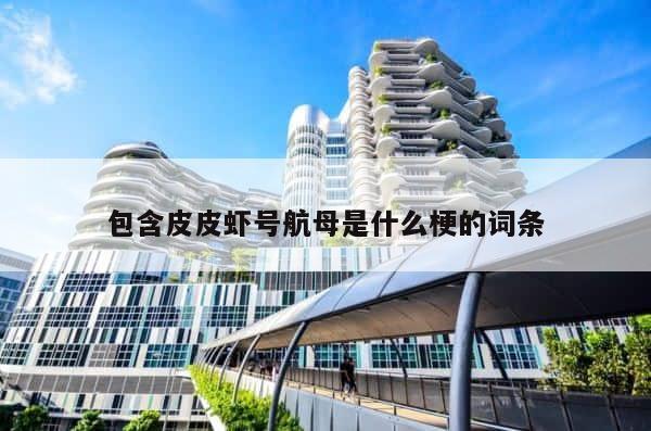 包含皮皮虾号航母是什么梗的词条 第1张