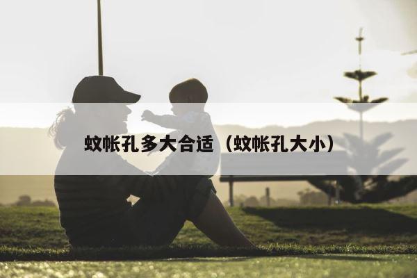 蚊帐孔多大合适（蚊帐孔大小） 第1张