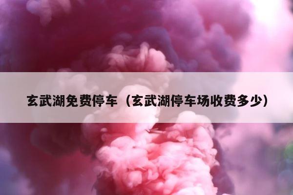 玄武湖免费停车（玄武湖停车场收费多少） 第1张