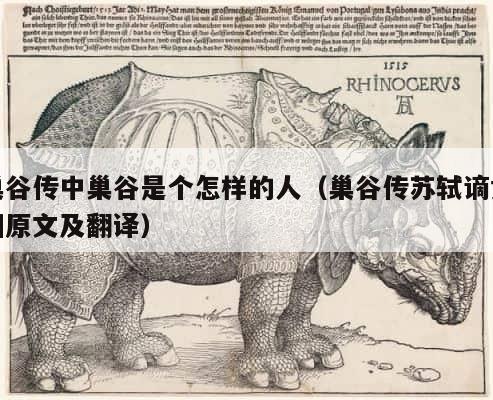 巢谷传中巢谷是个怎样的人（巢谷传苏轼谪黄州原文及翻译） 第1张