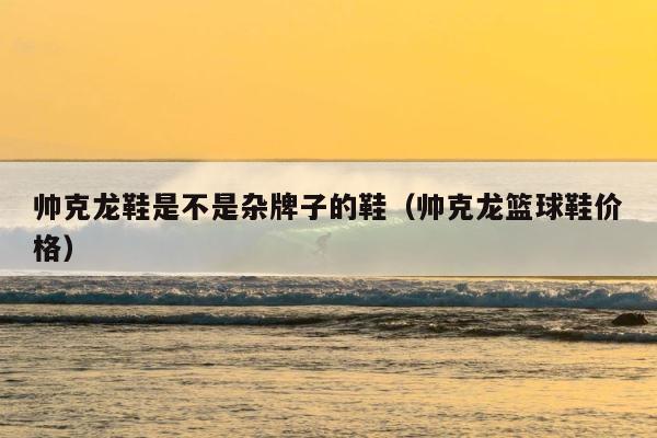 帅克龙鞋是不是杂牌子的鞋（帅克龙篮球鞋价格） 第1张