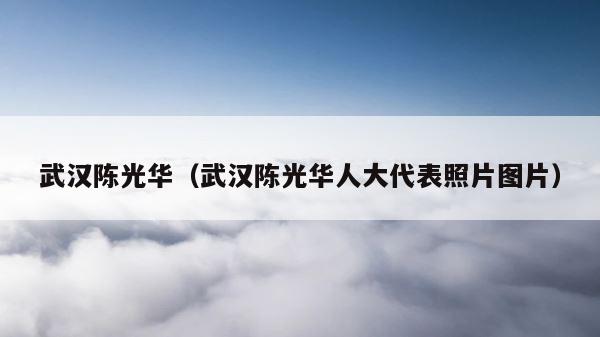 武汉陈光华（武汉陈光华人大代表照片图片） 第1张